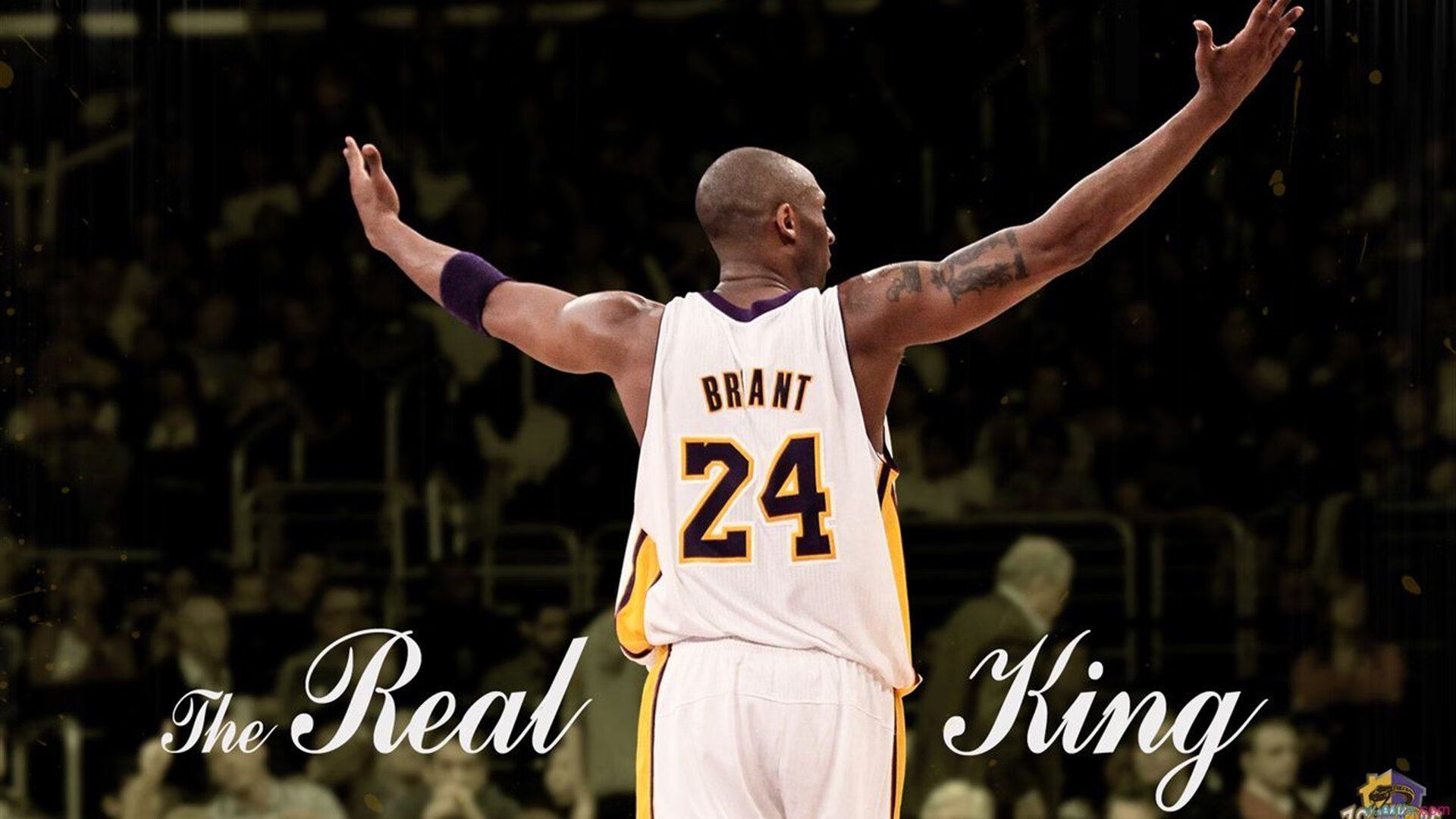 收割与接管，从CBA吉林到意甲保罗，超级个体的时代逻辑